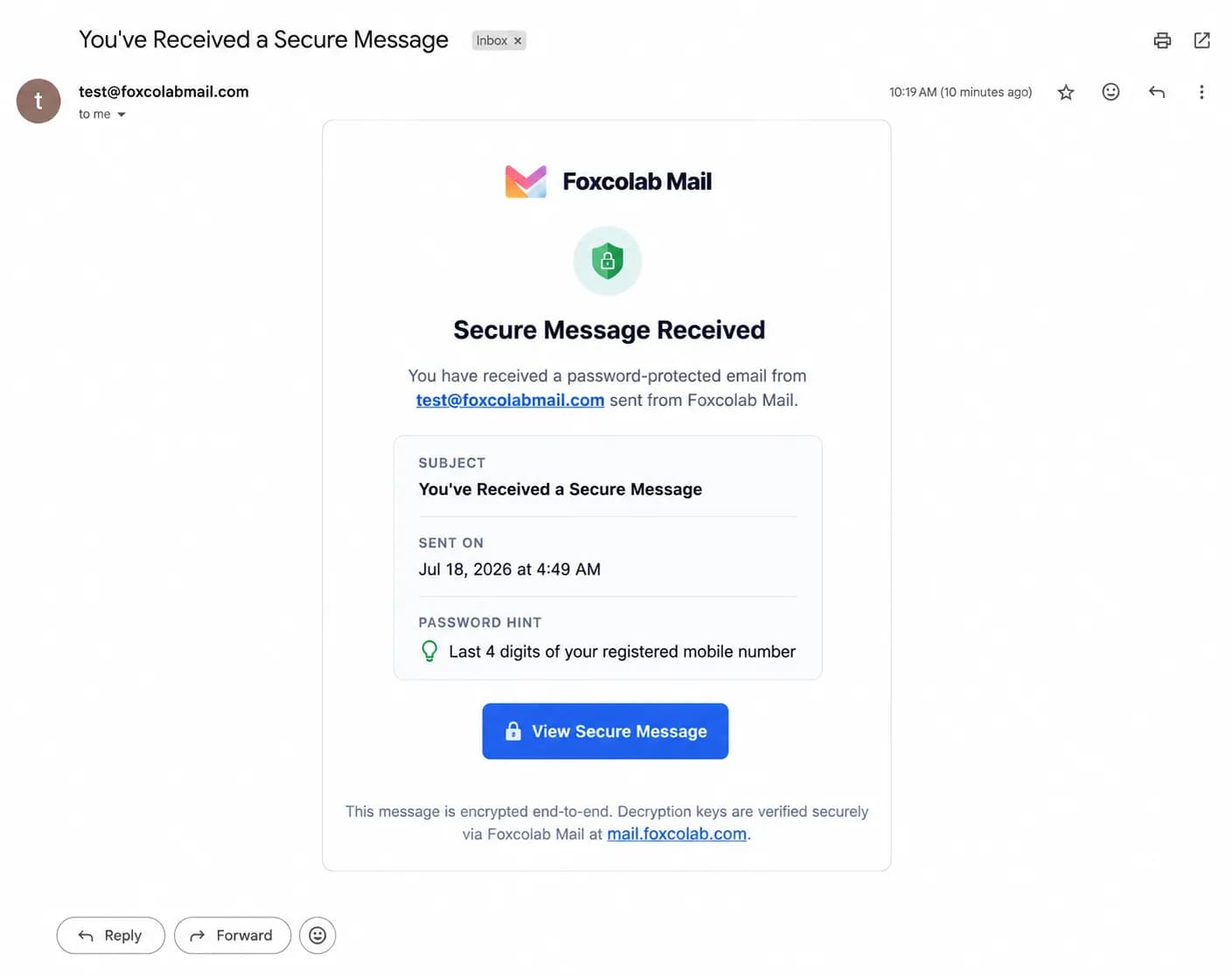 Password protected email view for external recipients